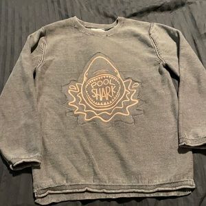 Zara “Pool Shark” sweater